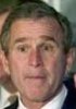 bush2.jpg