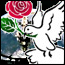 archy.png