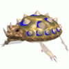 dragonturtlelarge.gif