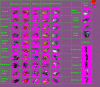 units-for-civ.gif