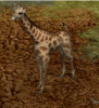 Giraffe.png