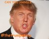 thetrumpening.jpg
