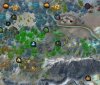 colorforest.jpg