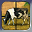 place_subdue_animal.jpg
