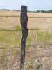 fence post.jpg