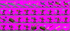 falklands malvinas whatever.png