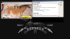 Screenshot from 2015-12-29 03:25:15.png