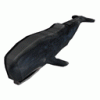 Whale-LG.gif