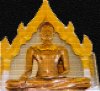 wgolden budha.jpg