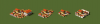 greek1.png