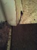 IMG_20160512_194641.jpg