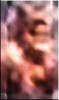 C5_11.png