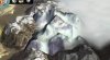 Wondrous Nature Steam Everest Detail v3.jpg