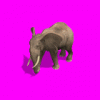 Elephant_Walk.gif