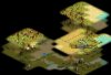 Plain_Diety2.JPG