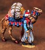 packcamel.jpeg