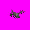 verti_500x500.gif
