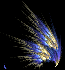 phoenix2-optimized.png