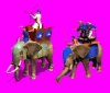 elephants.jpg