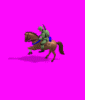 modcav_run.gif