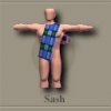 sash_E9e.jpg