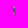 vierasettler2_GZW.gif