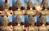 leonidas_O62.jpg