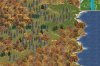 newyorktrees3fk7_tTu.jpg