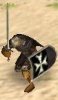 hospitaller1_t9D.jpg