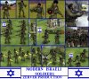 isrmod_ArS.jpg