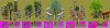 shrines_LEs.jpg