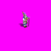 frenchmuskprev_S25.gif