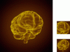 brain_preview_R4X.gif