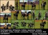 12_cuirassiers_k1r.jpg