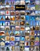 samplepicswonders_6DD.jpg