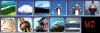 samplepicswonders2_4sy.jpg