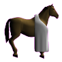 horse_armor_front_Crb.png