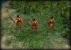 warrior_indian_wXW.jpg