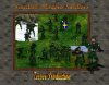 zpswedishmodernsoldiers_uAy.jpg