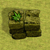 cannabisupload_T7P.png