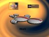 shark_7Tj.jpg