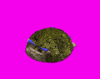 jungle_pillbox_anim_RDB.gif