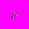 afghansample_8H7.gif