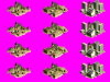 contemporary_americansample_1mh.png
