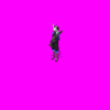 viera_Rt9.gif