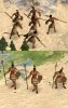 polynesianspearmanpic1_m5X.jpg
