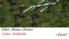 zpbolterrussia_ps4.jpg