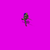 lateaustrian_1Fq.gif