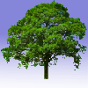 treeimage_l3K.png