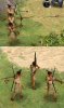 polynesialongbowmanpic1_7N3.jpg
